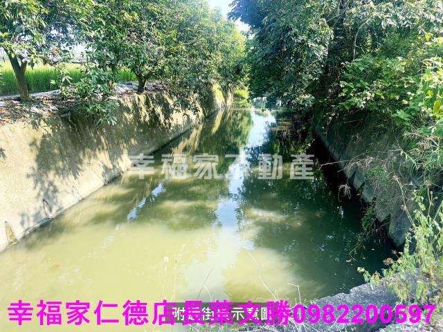 柳營農地-10