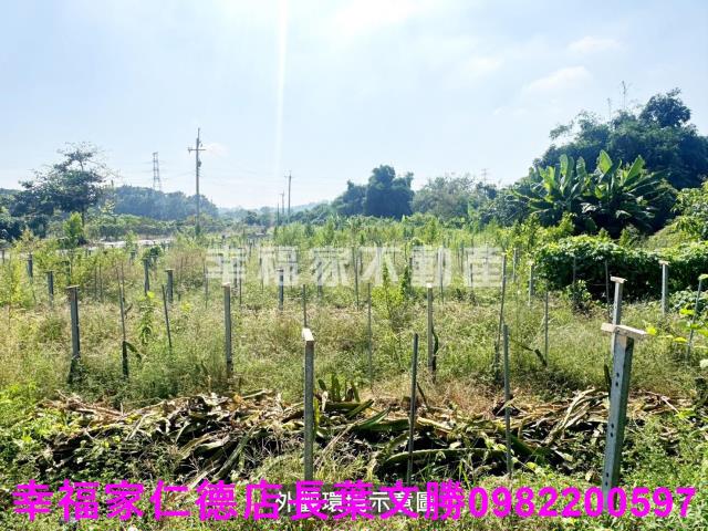 柳營農地-15