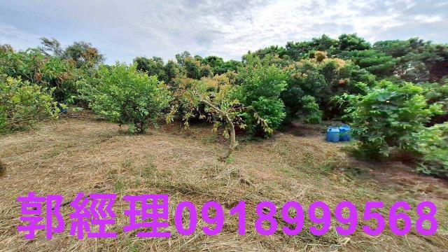 官田農地-15