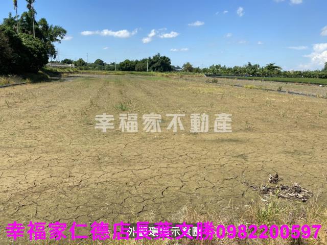 柳營農地-13
