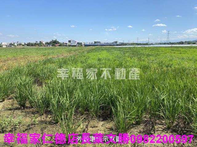 柳營農地-9