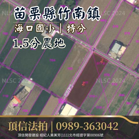 竹南法拍農地-2
