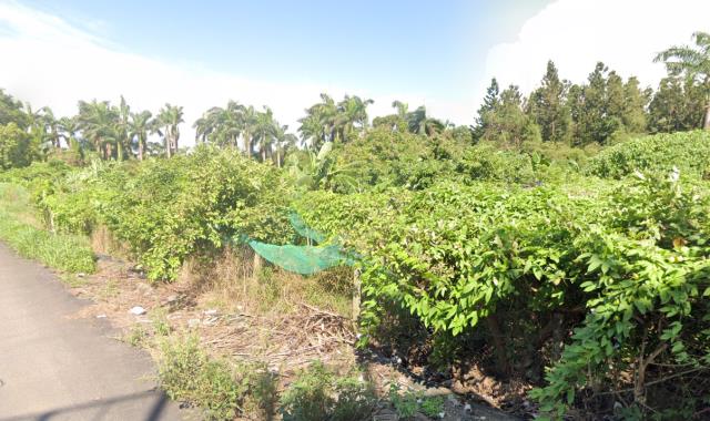 永康學校用地-11