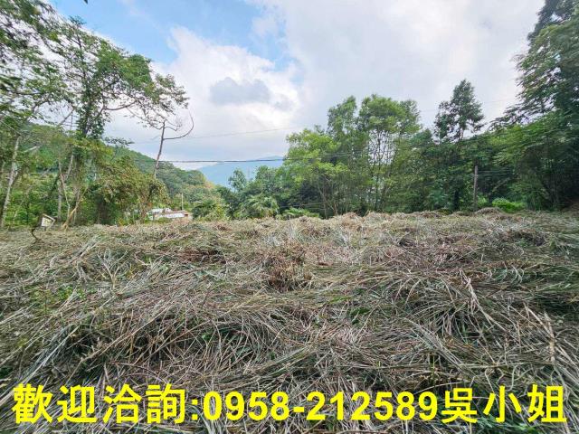 新竹橫山山坡地-2