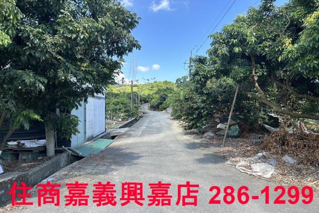 嘉義竹崎農地-10