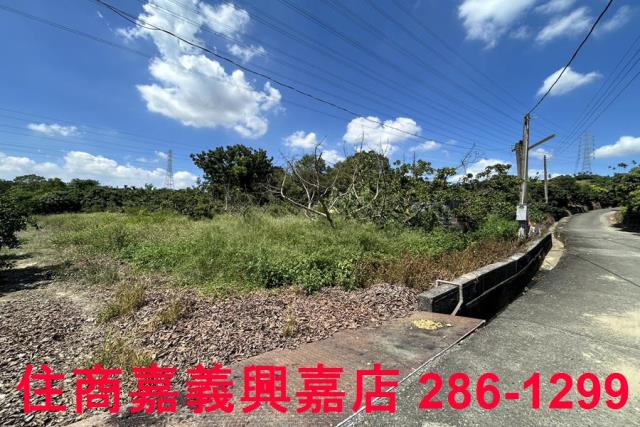 嘉義竹崎農地-5