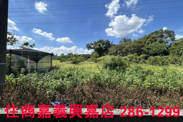 嘉義竹崎農地-6