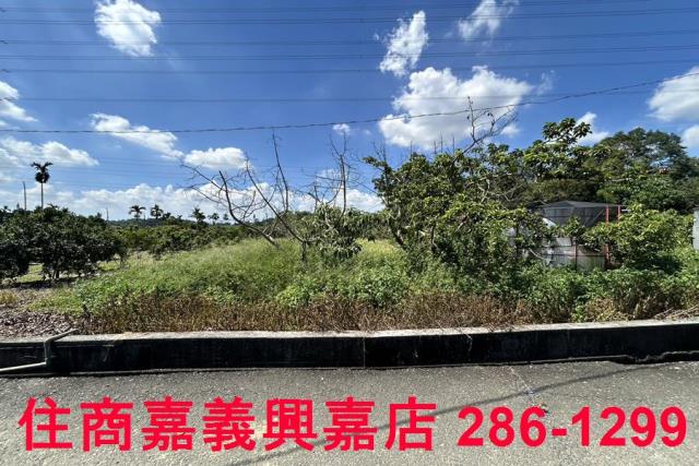 嘉義竹崎農地-7