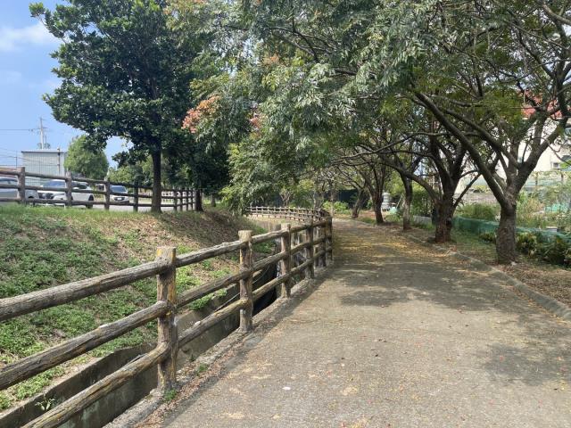 桃園平鎮農地-0