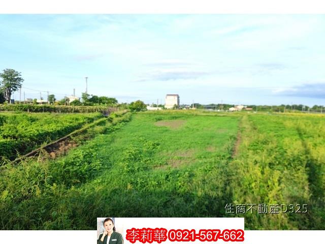 柳營農地-5