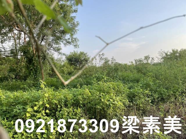 台南麻豆工業地-4