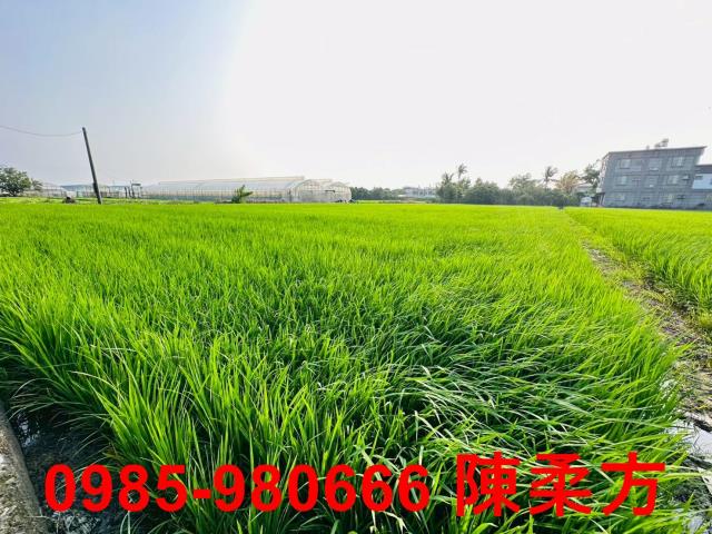太保建地-6