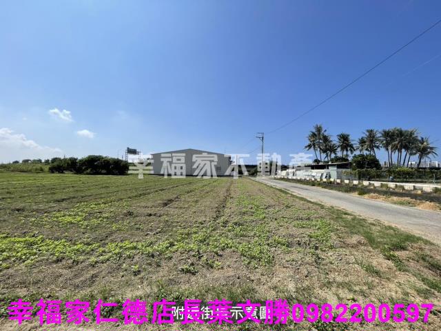仁德農地-11