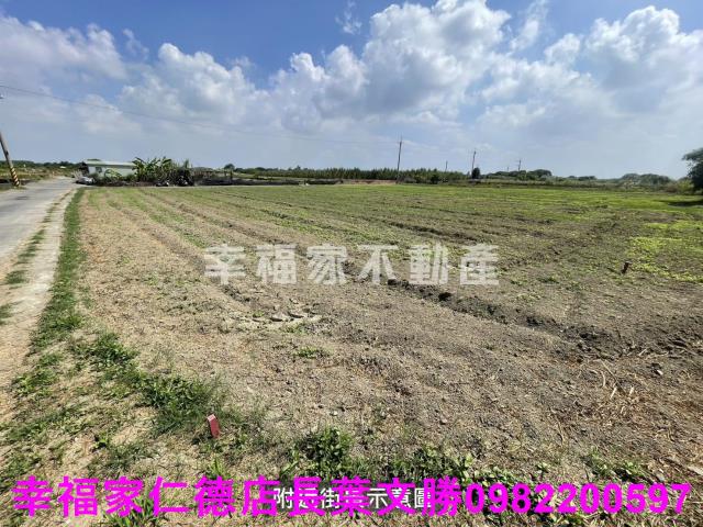 仁德農地-13