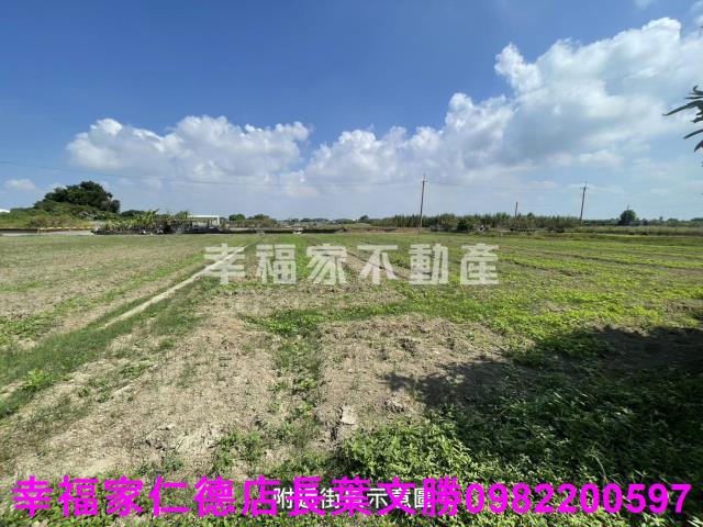 仁德農地-1
