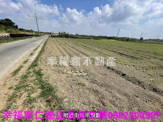 仁德農地-3