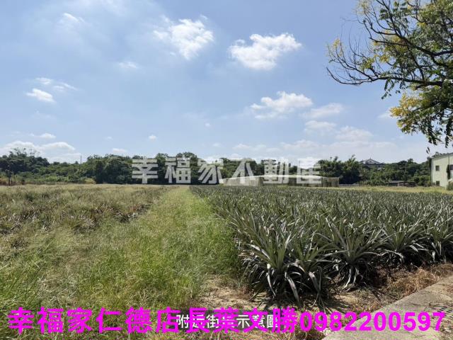 新市農地-7