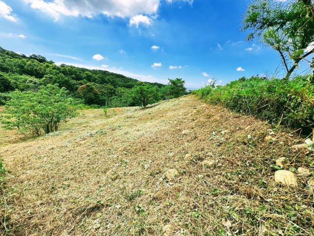 楊梅農地_山坡地-10