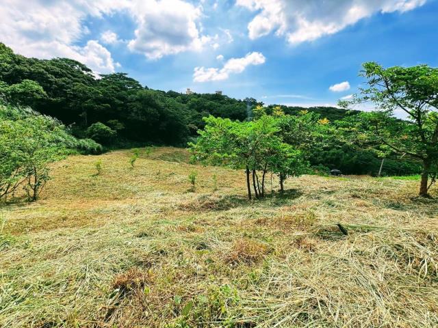 楊梅農地_山坡地-11