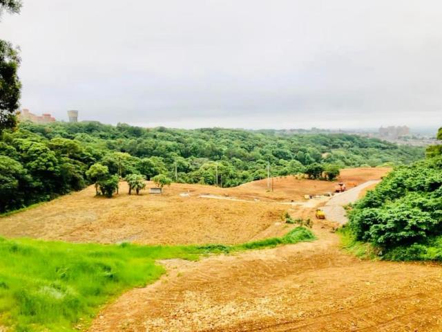 楊梅農地_山坡地-1