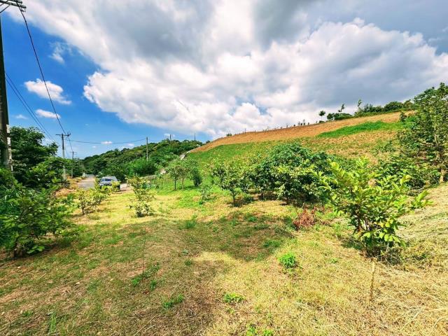 楊梅農地_山坡地-3