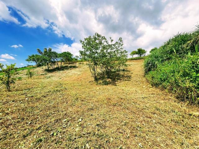 楊梅農地_山坡地-8