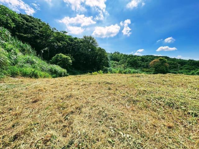 楊梅農地_山坡地-9