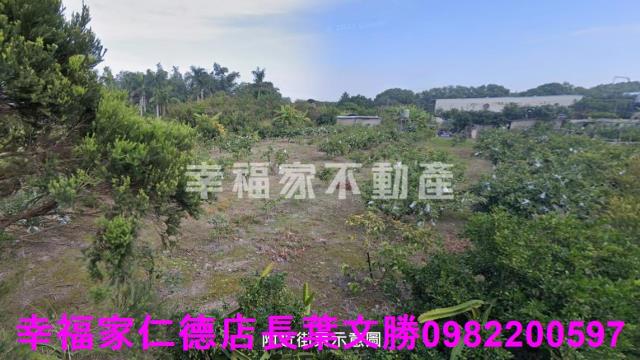 歸仁農地-10