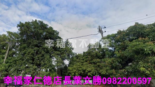 歸仁農地-15