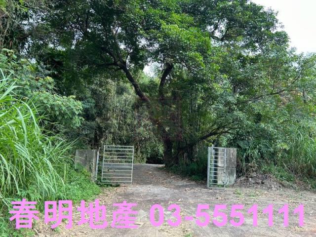 新竹農地-4