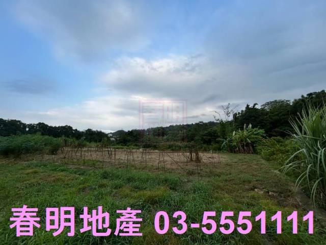 新竹農地-8
