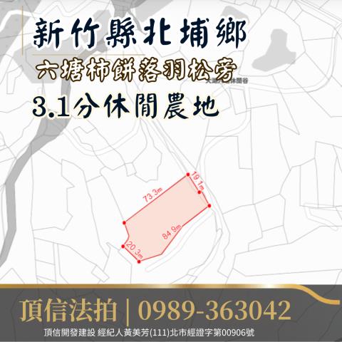 新竹北埔農地法拍-3