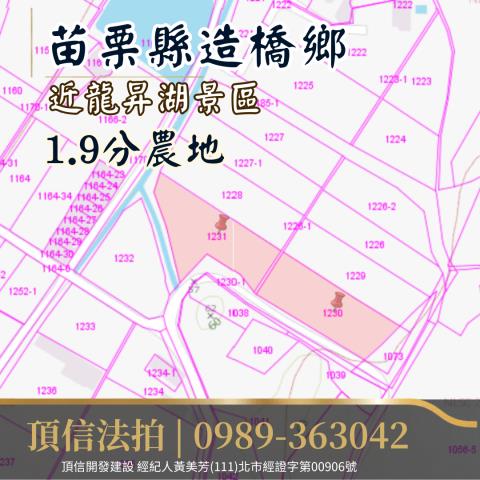 苗栗造橋法拍農地-4