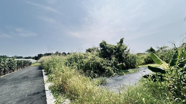 高雄燕巢農地-5