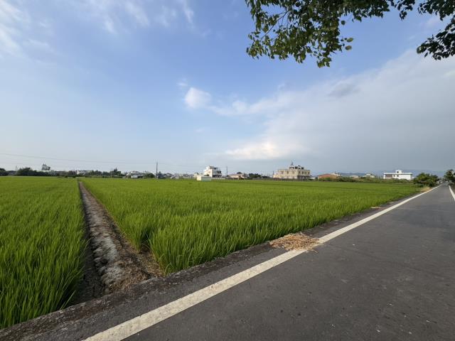 南投草屯農地-3