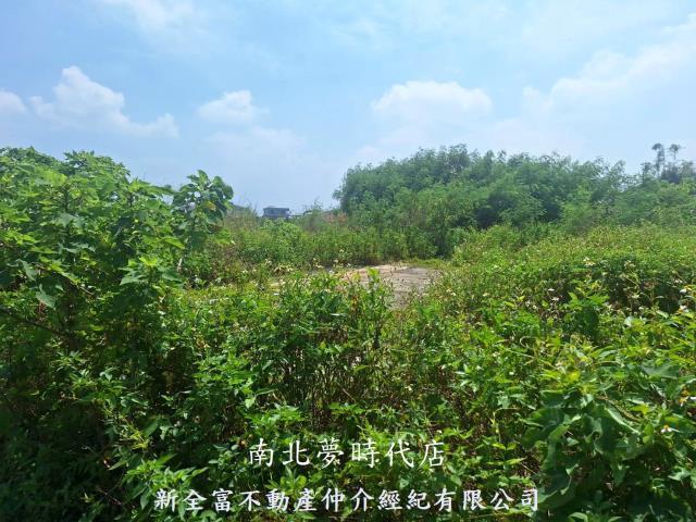 義竹建地-11