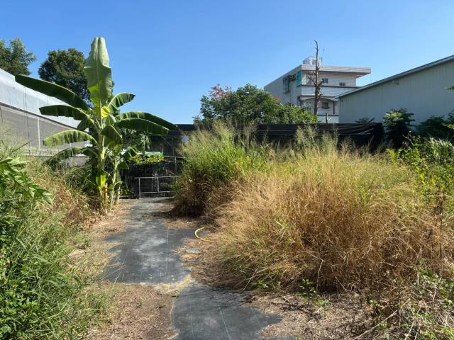 大雅農地-2