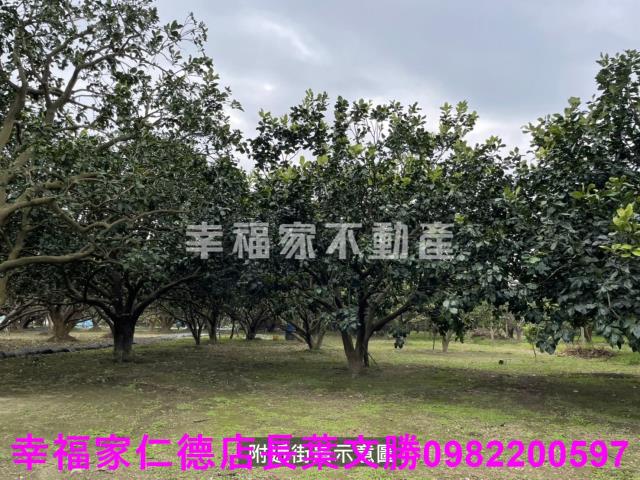 麻豆農地-14