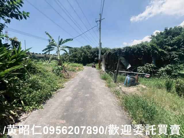 麻豆農地-11