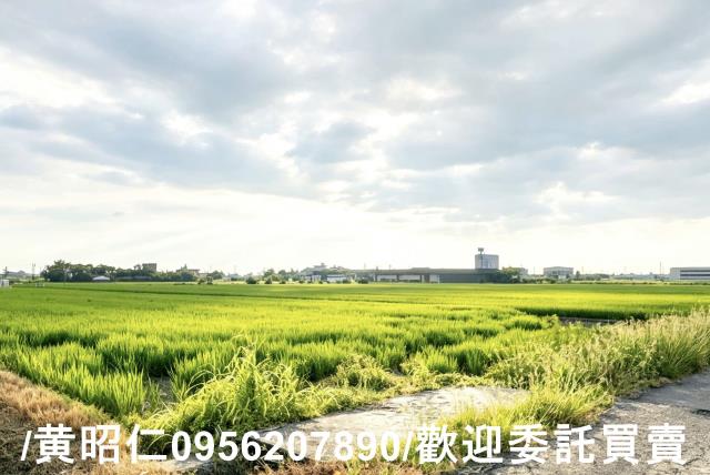 柳營農地-2