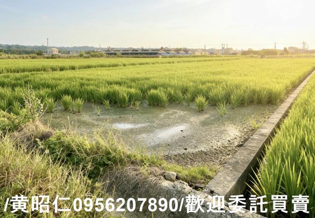 柳營農地-5