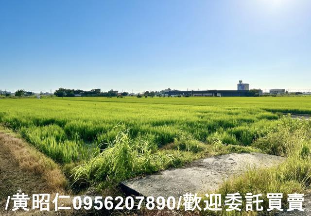 柳營農地-6