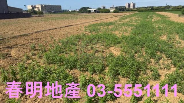 新竹農地-5