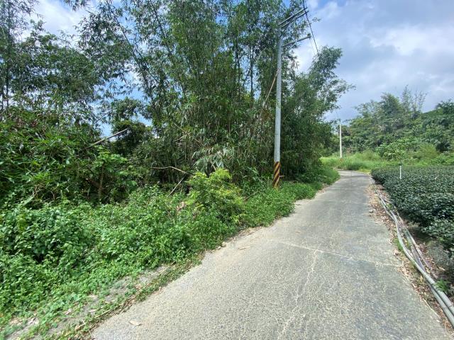 南投竹山農地-2