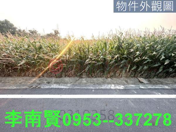 台南永康農地-2
