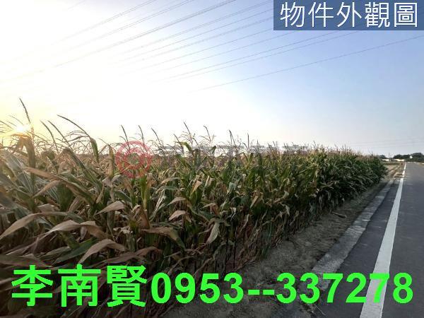 台南永康農地-4