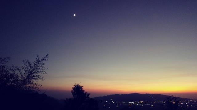 台中東勢農地-1