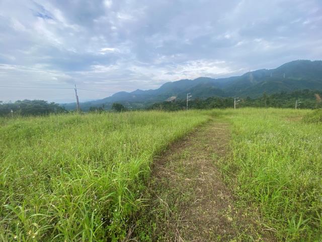 南投竹山農地-6