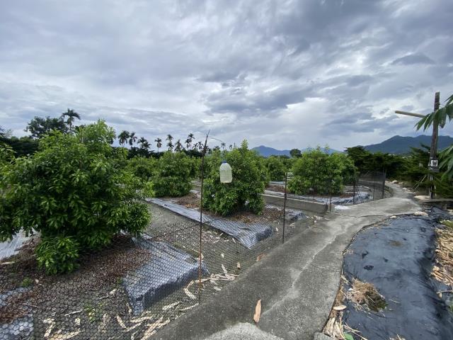 南投竹山農地-4