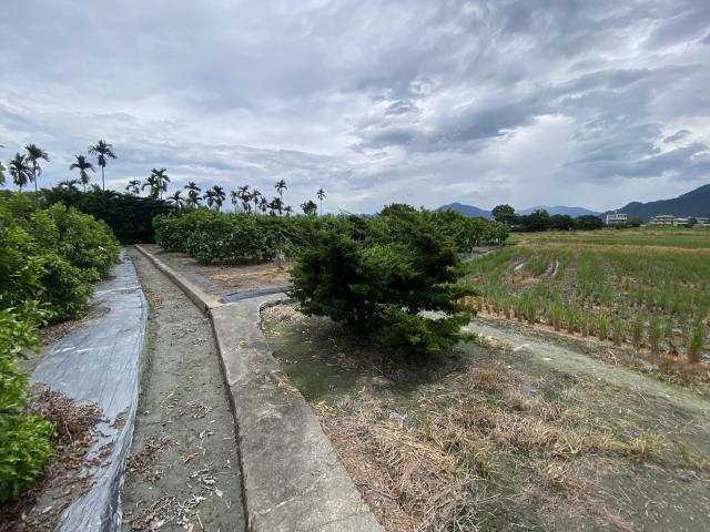 南投竹山農地-5